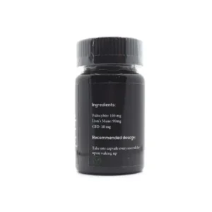 Microdosing Psilocybin 1g