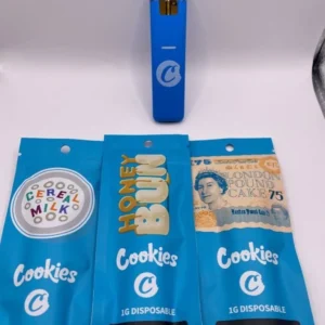 Cookies Disposable 2g
