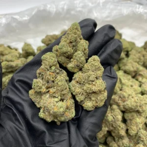Banana Zurpp Strain 2