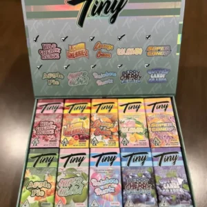 Tiny Disposable Vape 2G