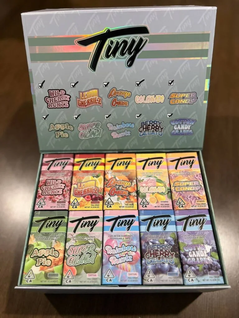 Tiny Disposable Vape 2G